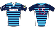 宗像サニックスブルース